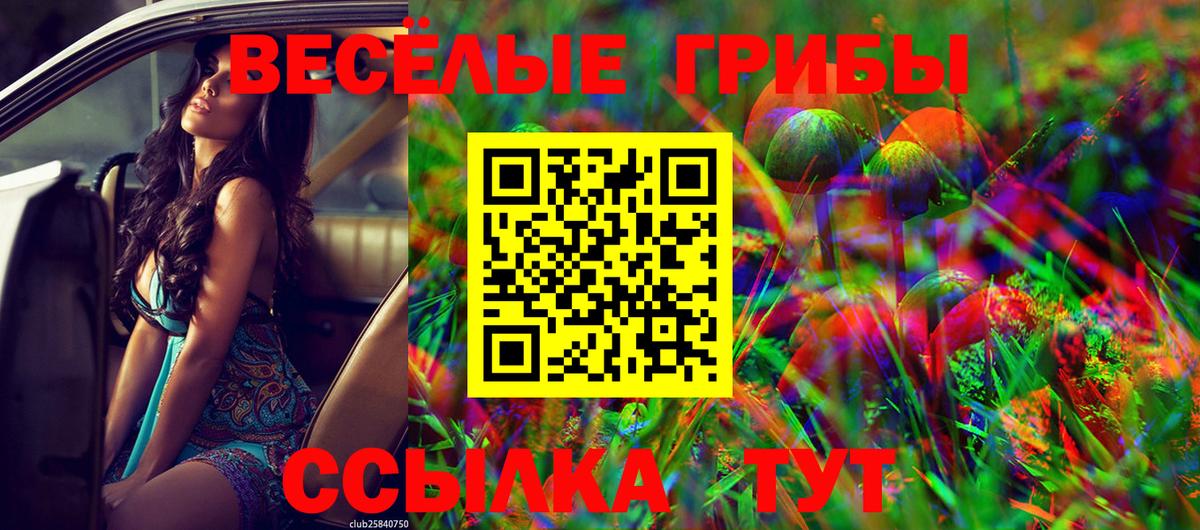 Псилоцибиновые грибы Psilocybe  Вход с VPN  Пугачёв 
