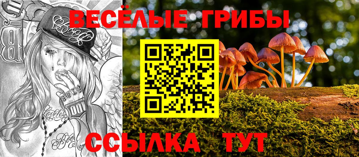 Галлюциногенные грибы мухоморы Пугачёв